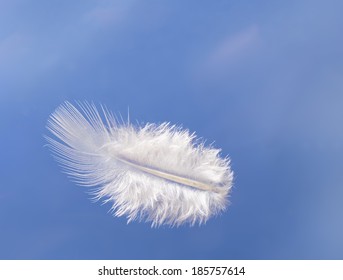 Fluffy Floating Feather - Light Weight Over Sky