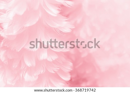 Fluffy mauve pink feather fashion design background - black and white tinted Valentine day fuzzy textured photograph - soft focus