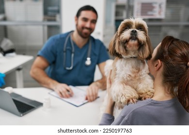 Fluffy patient of modern veterinary clinics standing by his owner communicating with vet doctor during consultation in medical office - Shutterstock ID 2250197763