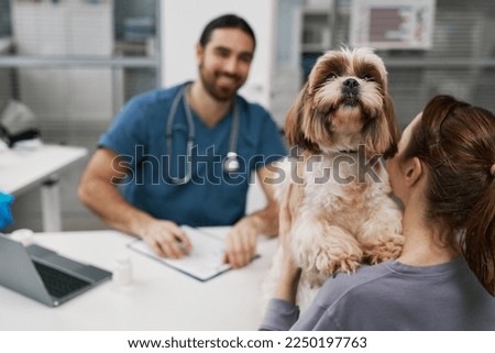 Fluffy patient of modern veterinary clinics standing by his owner communicating with vet doctor during consultation in medical office