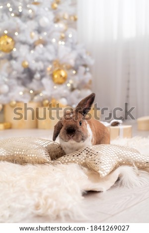 fluffy red lop-eared rabbit sits on a soft rug against the background of a Christmas tree in a beautifully decorated room for Christmas. New year's gift. greeting card, place for copy space for text
