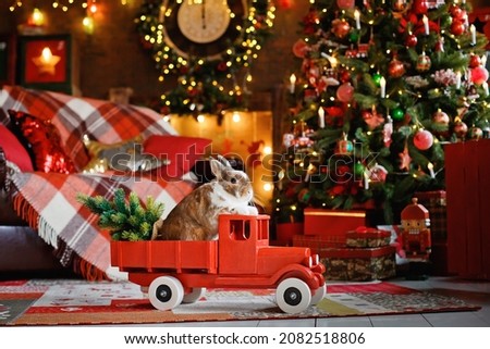 a fluffy red rabbit sits in the back of a red car against the background of a Christmas tree in a beautifully decorated room. A New Year's gift. greeting card, a place to copy text