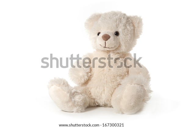 fluffy baby bear
