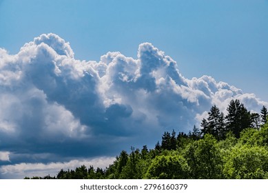Fluffy white clouds drift gracefully across a bright blue sky, framing vibrant treetops below.