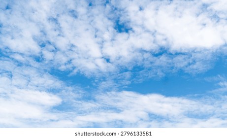 Fluffy white clouds float motionless in the bright blue sky.