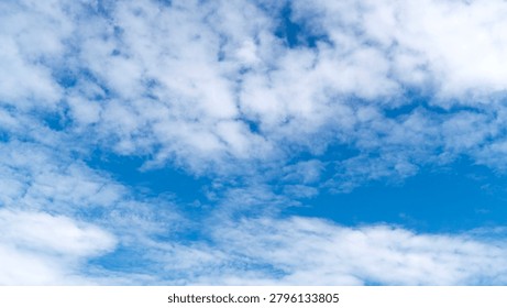 Fluffy white clouds float motionless in the bright blue sky.