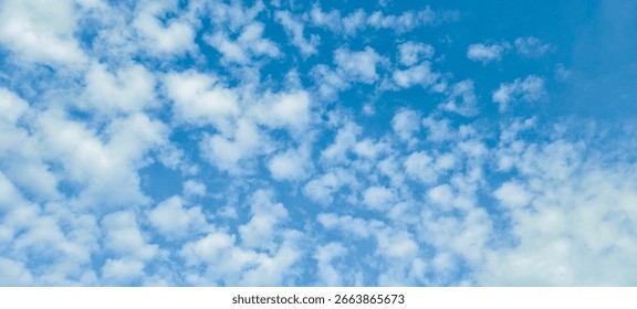 Fluffy white clouds in the sky. background