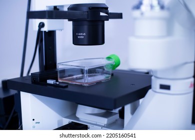 Fluorescence Microscope At The Cell Culture Laboratory 