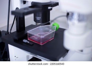 Fluorescence Microscope At The Cell Culture Laboratory 