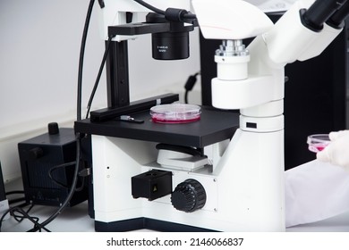 Fluorescence Microscopy Cell Biology Laboratory Photo Sample 