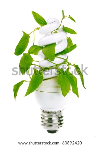 Fluorescent energy saving light bulb with green plant isolated on white background