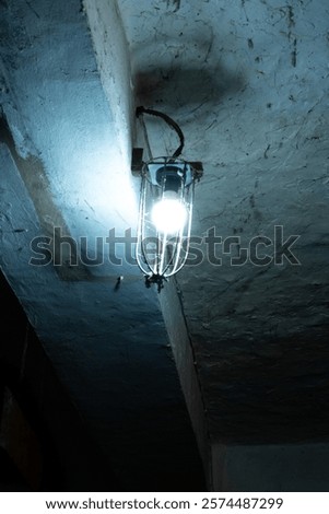 Fluorescent light in the dark