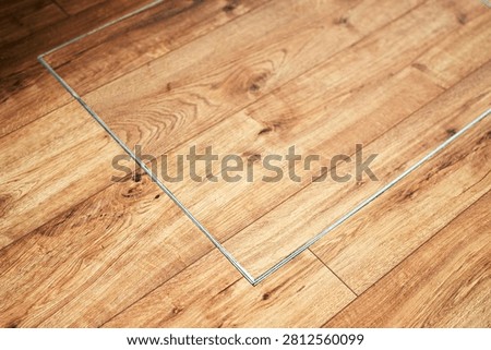Flush mounted trapdoor panel in indoor wooden floor