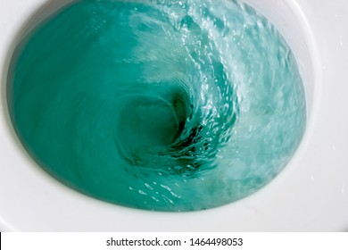 
flush toilet 
Blue water 
Cleanliness - Shutterstock ID 1464498053