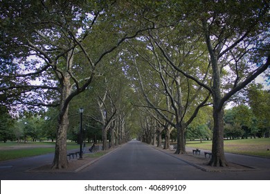 Flushing Meadows Corona Park