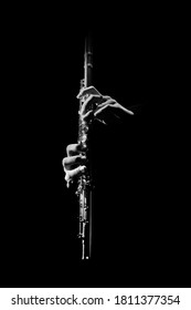 Flute instrument. Flutist hands playing flute music. Classical orchestra instruments isolated