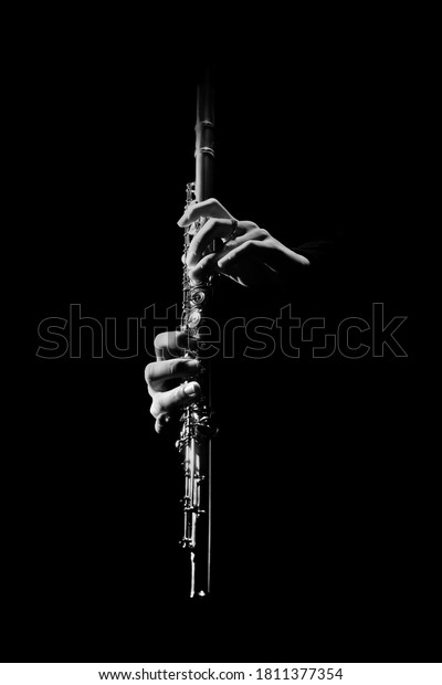 Flute instrument. Flutist hands\
playing flute music. Classical orchestra instruments\
isolated