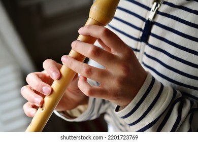 flute recorder - play flute