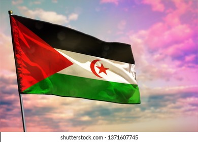 Fluttering Western Sahara flag on colorful cloudy sky background. Western Sahara prospering concept.