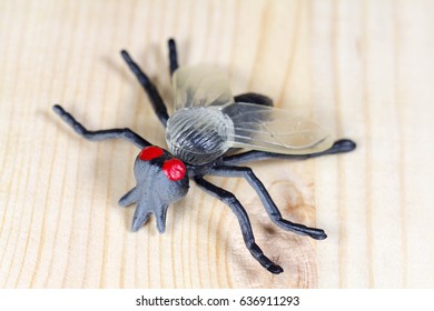 Fly