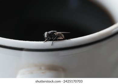 a fly in a coffee cup