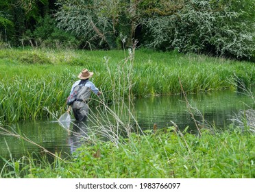 A Fly Fisherman Angler In Chest Waders Casts His Line Fishing For Brown Trout On The Beautiful Scenic River Avon, Wiltshire UK 