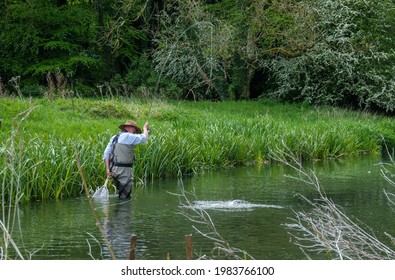 A Fly Fisherman Angler In Chest Waders With Tight Line And Bent Rod Plays A Hooked Brown Trout, River Avon In Wiltshire UK 