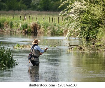 A Fly Fisherman Angler In Chest Waders Casts His Line Fishing For Brown Trout On The Beautiful Scenic River Avon, Wiltshire UK 