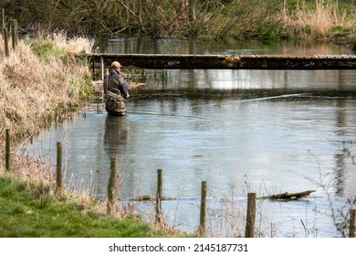 A Fly Fisherman Angler In Chest Waders Casts His Line Fishing For Brown Trout On The Beautiful Scenic River Avon, Wiltshire UK 