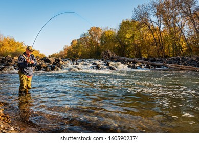 Download Bent Fishing Rod Images Stock Photos Vectors Shutterstock