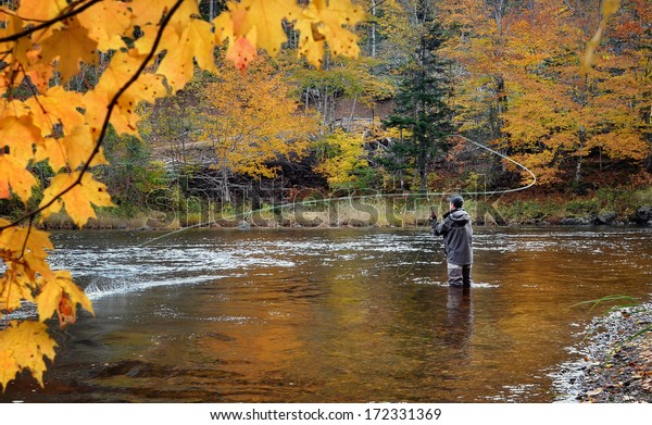 A fly fisherman fishing for Atlantic Salmon on\
the Margaree River in the\
fall.
