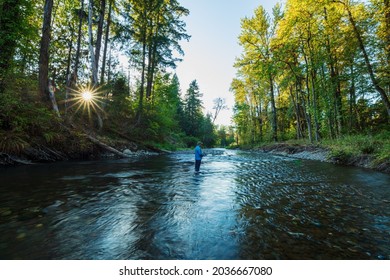 Fly Fishing The Cedar River In Washington State