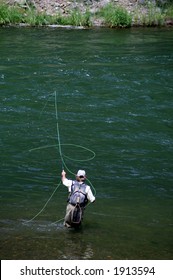 Fly Fishing In Colorado