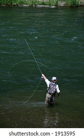 Fly Fishing In Colorado