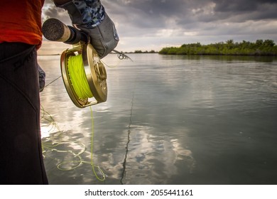 Fly Fishing Cuba On The Flats For Bonefish