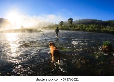 Fly Fishing At Dawn On The Snake River