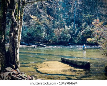 Fly fishing in DuPont Forest in Asheville, NC.