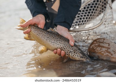 Fly fishing in freshwater rivers - Powered by Shutterstock