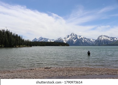 Fly Fishing In Jackson Lake, Wyoming By Joe C