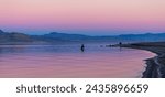 Fly fishing for Lahontan cutthroat trout at Pyramid Lake, Nevada