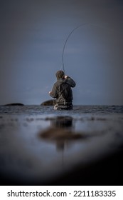 Fly Fishing On The Swedish West Coast