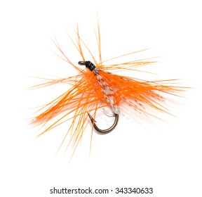 Fly For Fishing On White Background