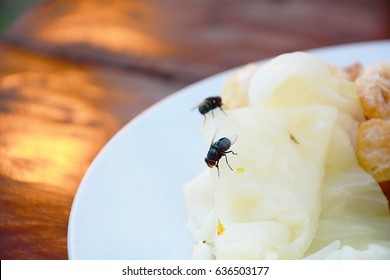 Fly in the food