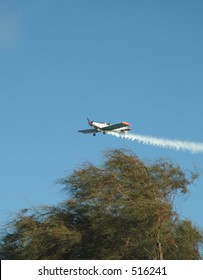 fly over tree