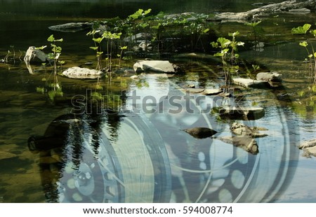 Similar – Foto Bild Frühling in der Pfütze