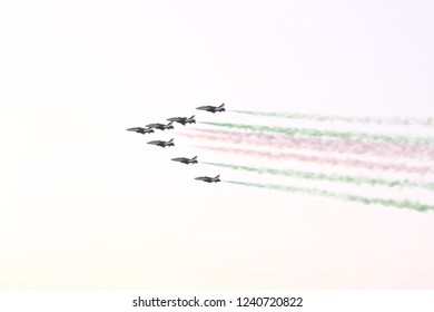 The fly show