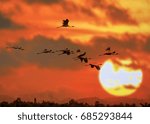 Fly to the sun