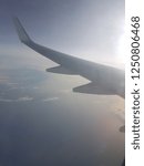 Fly wing view