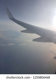 Fly wing view