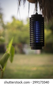 Fly Zapper In Beautiful Backyard